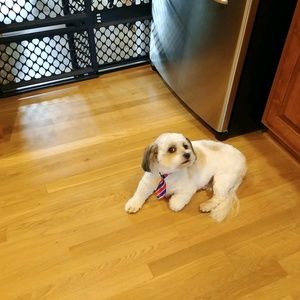 Meet your Posher, Eileen